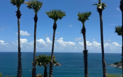 What are the Best Viewpoints in Phuket?