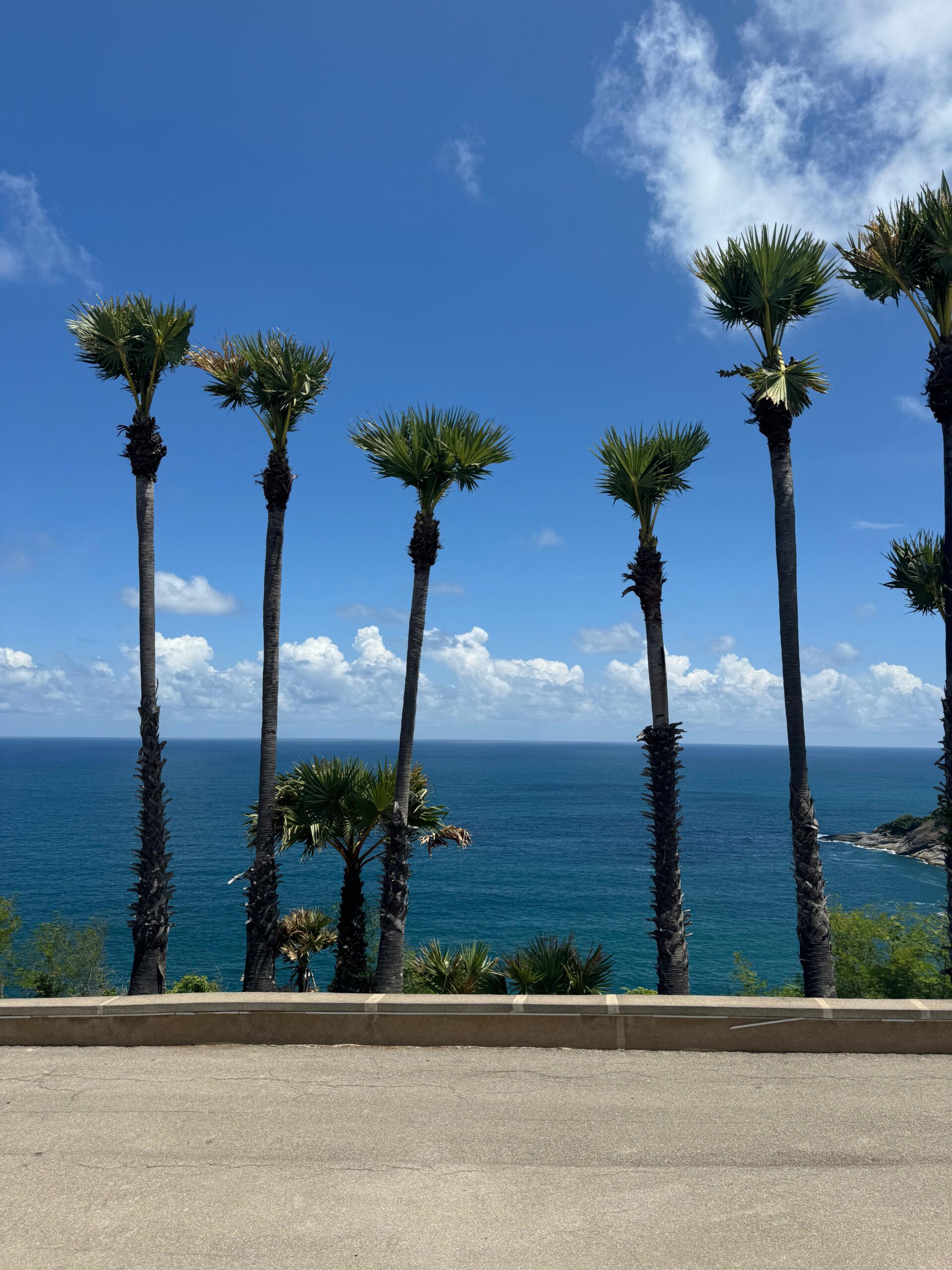 WhatsApp Image 2026 03 12 At 00.10.49