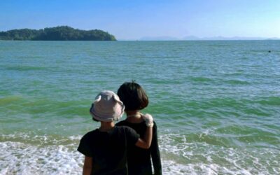 Where to Volunteer in Phuket?