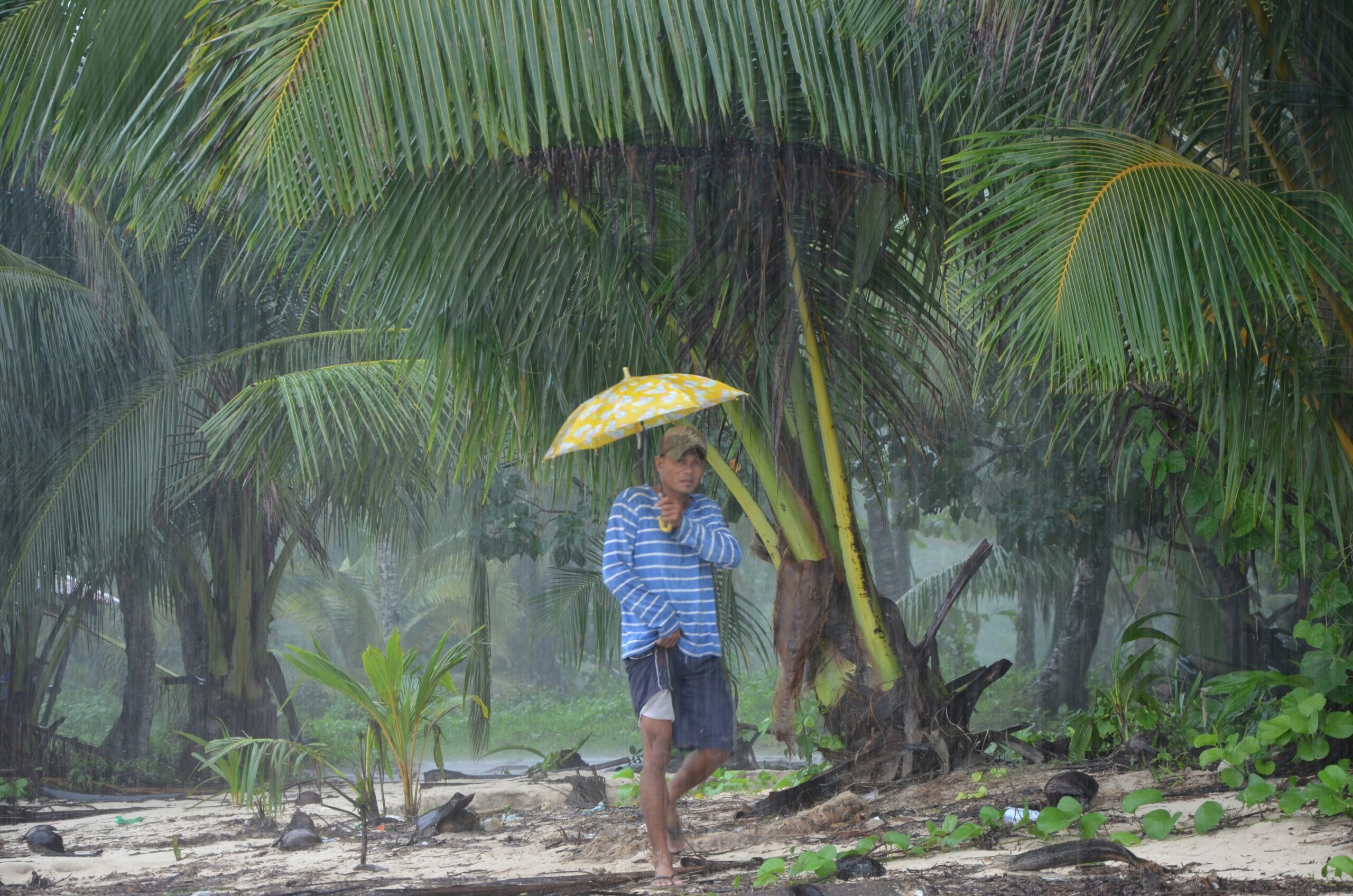 Tropical monsoon rain in Phuket Thailand during rainy season