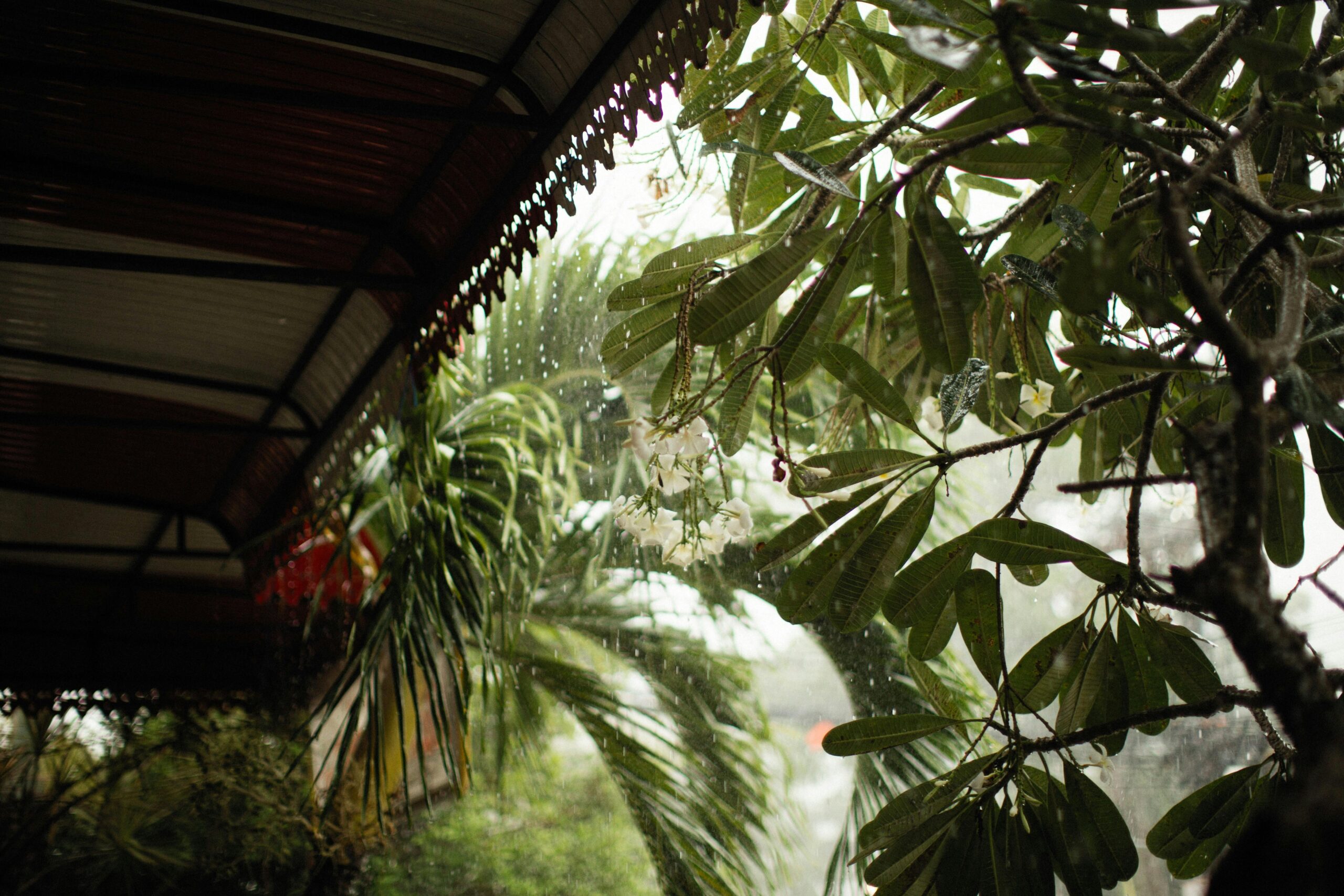 Rain falling on a tropical street in Phuket illustrating what a rainy day looks like on the island